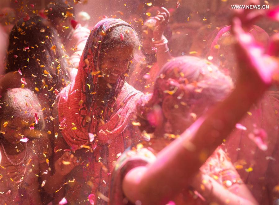 （国际）（2）印度圣城寡妇庆祝洒红节