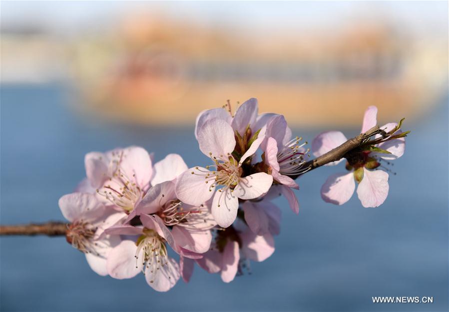（春季美丽生态）（4）北京颐和园：满园春色