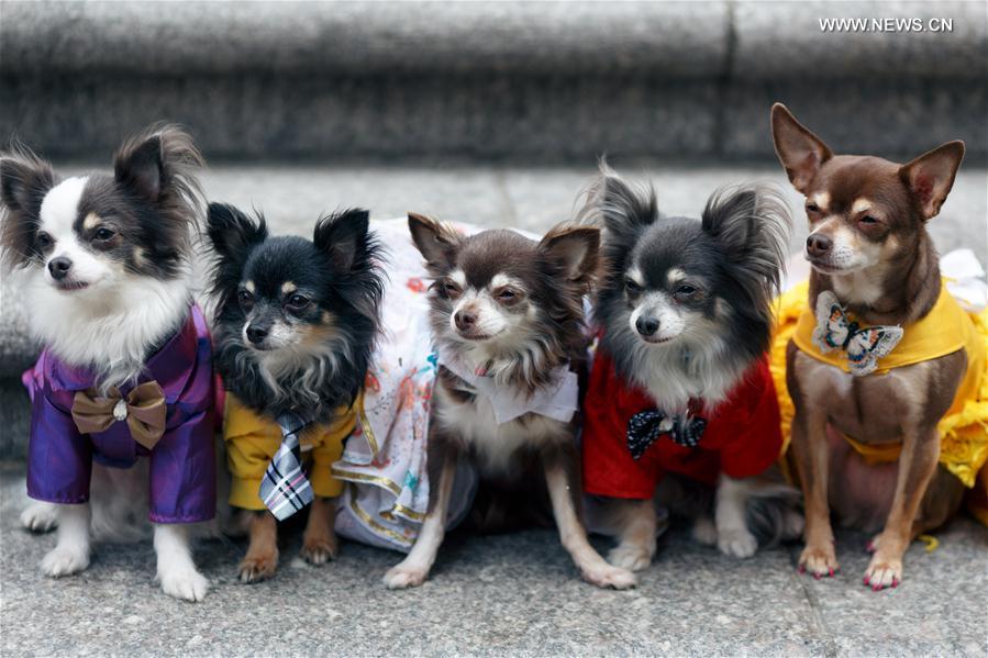 U.S.-NEW YORK-EASTER-BONNET-PARADE