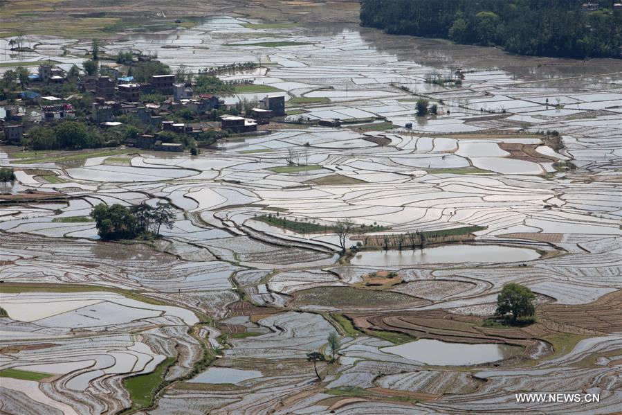 #CHINA-GUANGXI-FARMLAND (CN)