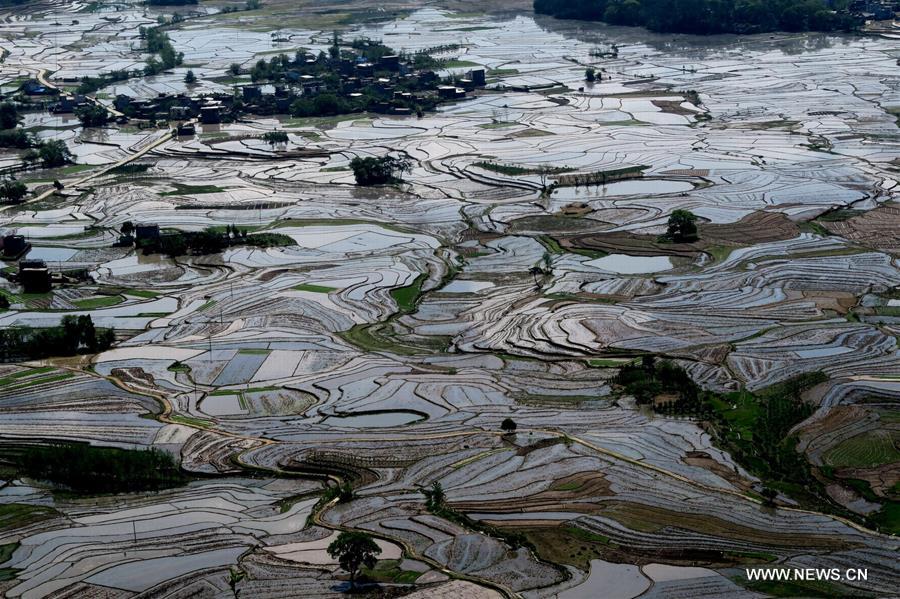 #CHINA-GUANGXI-FARMLAND (CN)