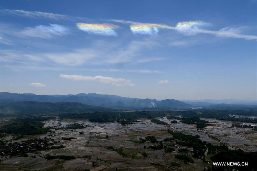 #CHINA-GUANGXI-FARMLAND (CN)