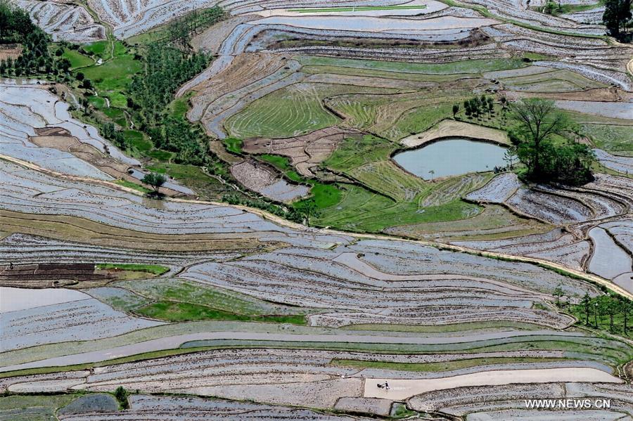 #CHINA-GUANGXI-FARMLAND (CN)