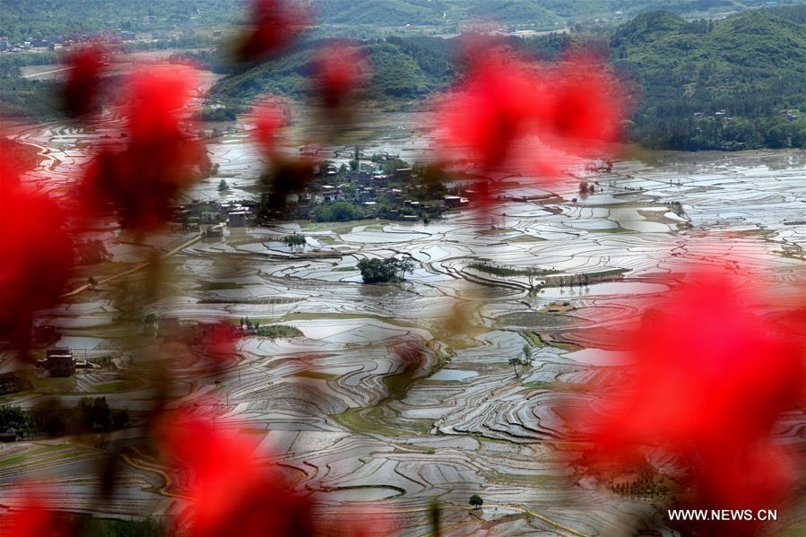 #CHINA-GUANGXI-FARMLAND (CN)