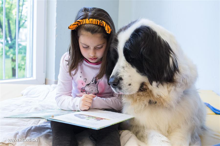 （国际·编辑连线）（1）世界读书日：和狗狗一起阅读