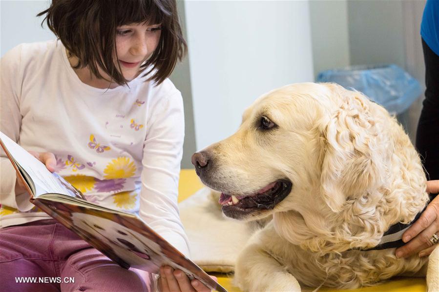 （国际·编辑连线）（9）世界读书日：和狗狗一起阅读