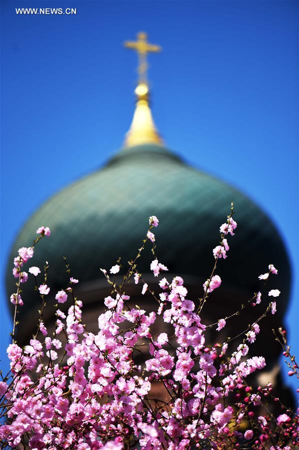 CHINA-HARBIN-CATHEDRAL (CN)