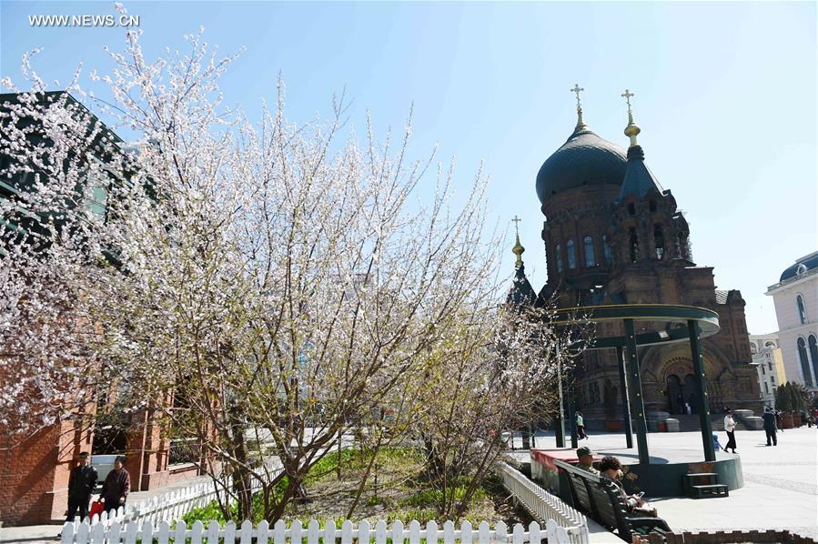 CHINA-HARBIN-CATHEDRAL (CN)