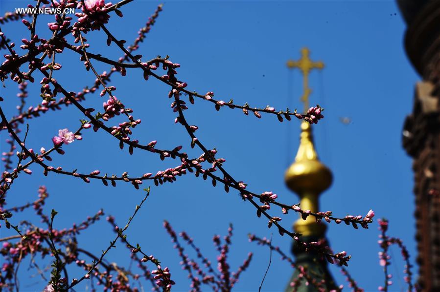 CHINA-HARBIN-CATHEDRAL (CN)