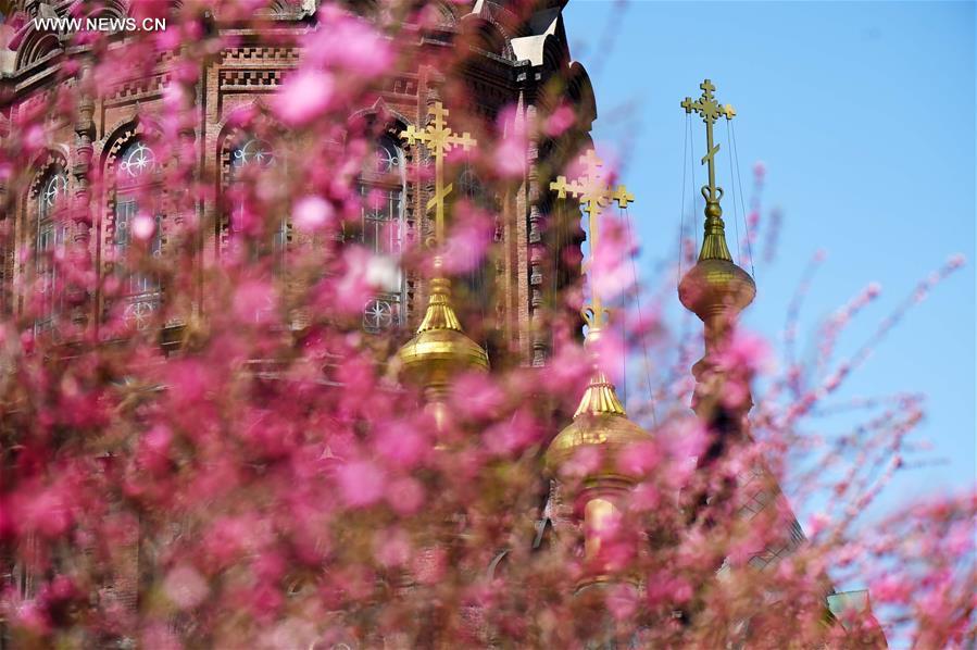 CHINA-HARBIN-CATHEDRAL (CN)