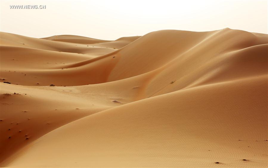 UAE-LIWA DESERT-VIEW