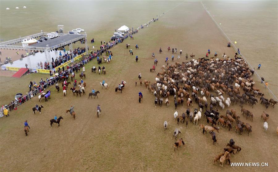 الصورة: مركز الخيول الصيني يستضيف مسابقة تصوير الخيول