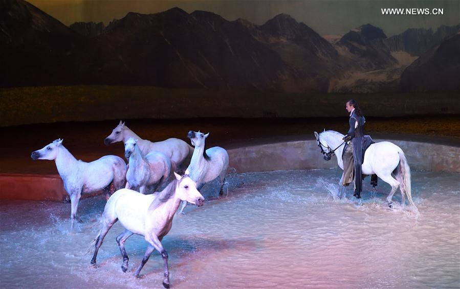 الصورة: عرض كندي يقدمه فنانون مع خيول في بكين