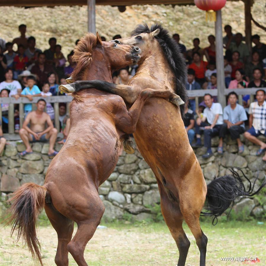 #CHINA-GUANGXI-RONGSHUI-HORSE FIGHTING (CN)