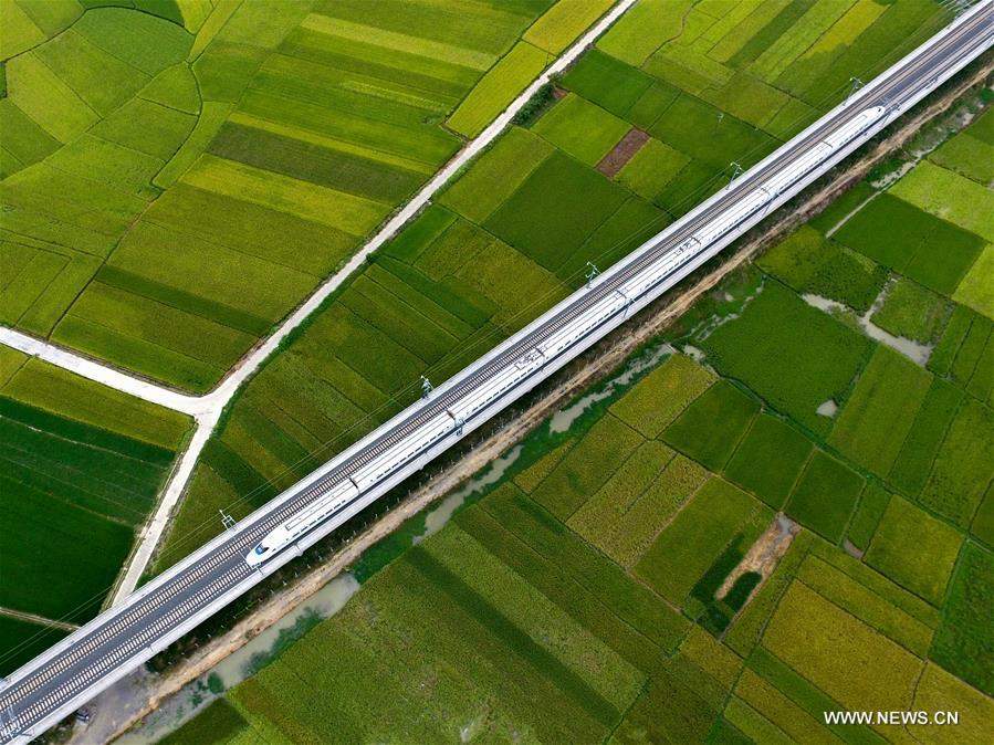 الصورة: قطار فائق السرعة بين حقول خضراء