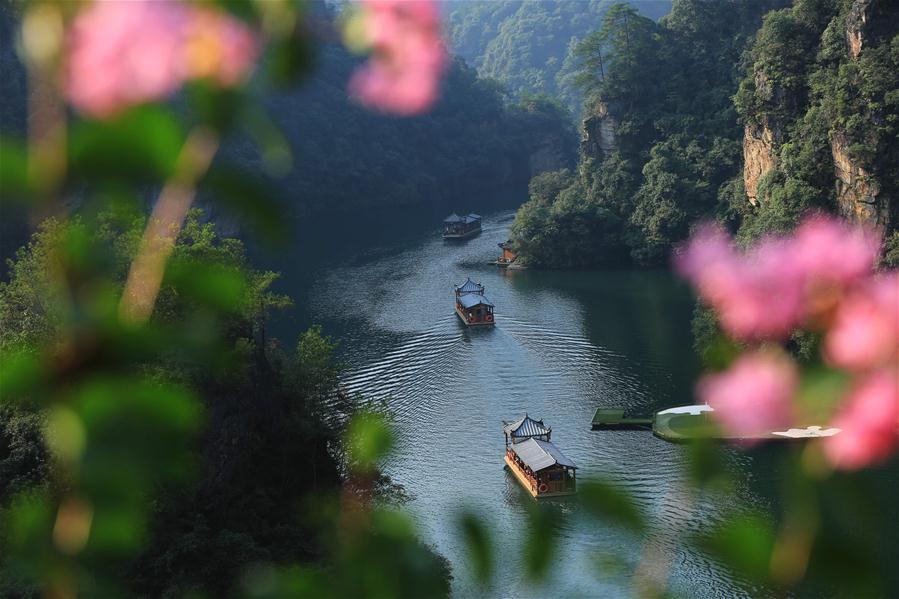  الصورة: مناظر الخريف الساحرة في منطقة سياحية بوسط الصين