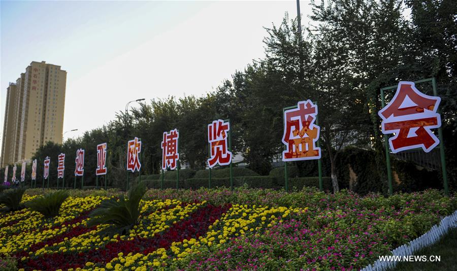 CHINA-XINJIANG-CAE EXPO-PREPARE (CN)