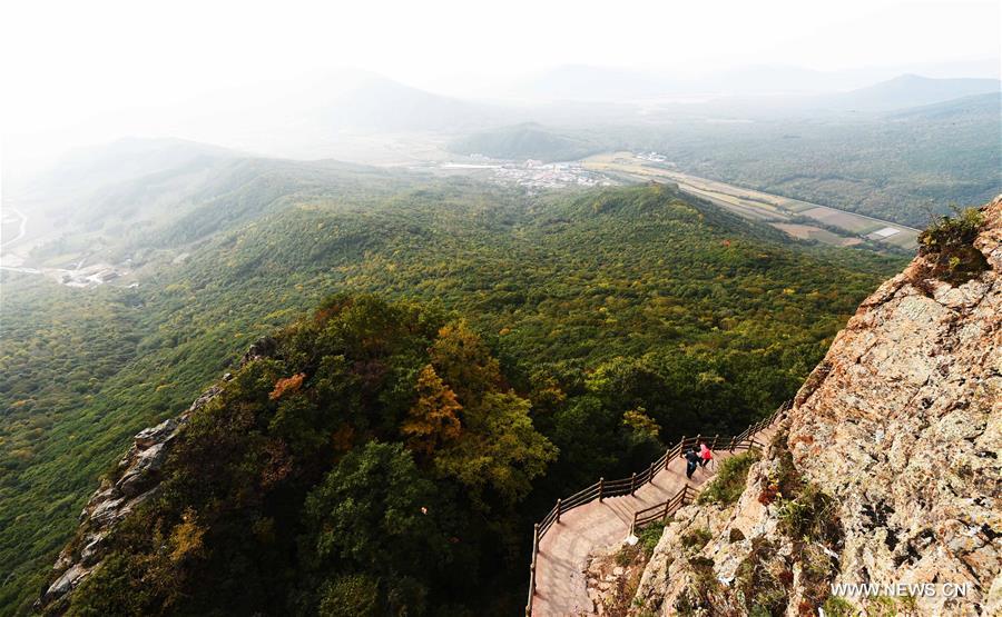 الصورة: مناظر خلابة لغابات حديقة ماوآرشان بشمال غربي الصين