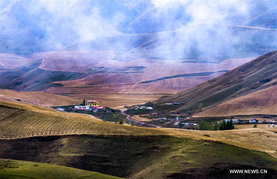 الصورة: مناظر الخريف في شينجيانغ