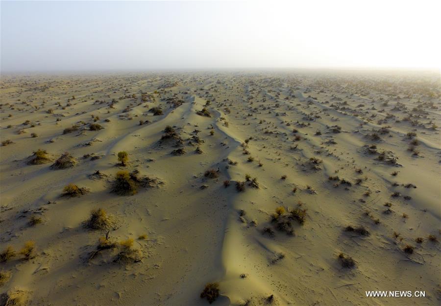الصورة: أحوار الصحراء في شمال غربي الصين