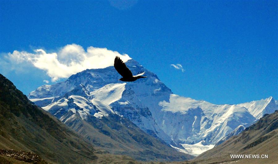 الصورة: مناظر جبل تشومولانغما