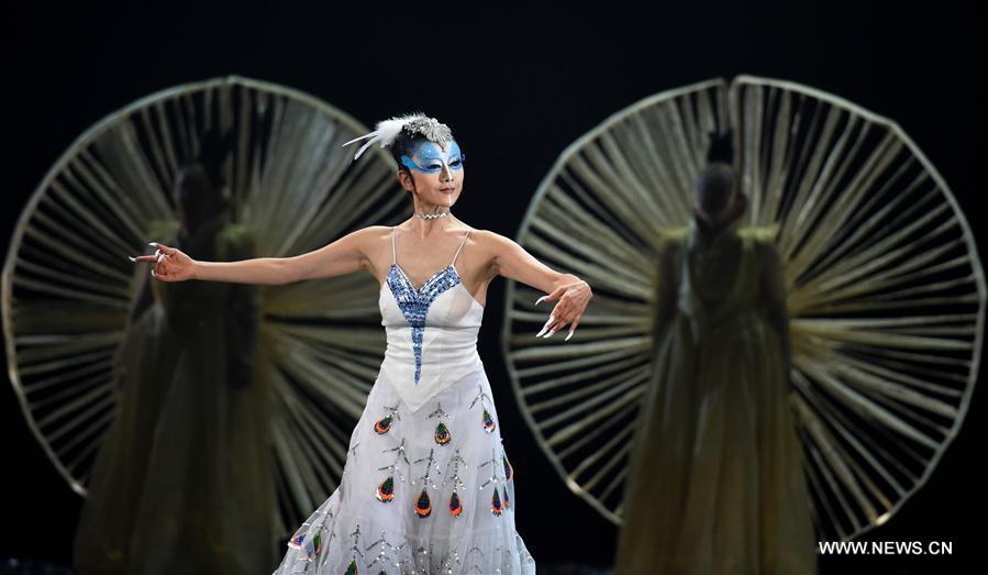 （文化）（4）杨丽萍新舞剧《孔雀之冬》在昆明上演