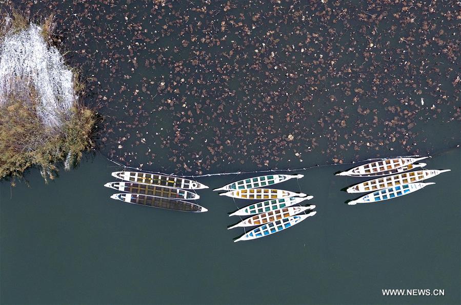 الصورة: مناظر جميلة لبحيرة دامينغهو بشرقي الصين