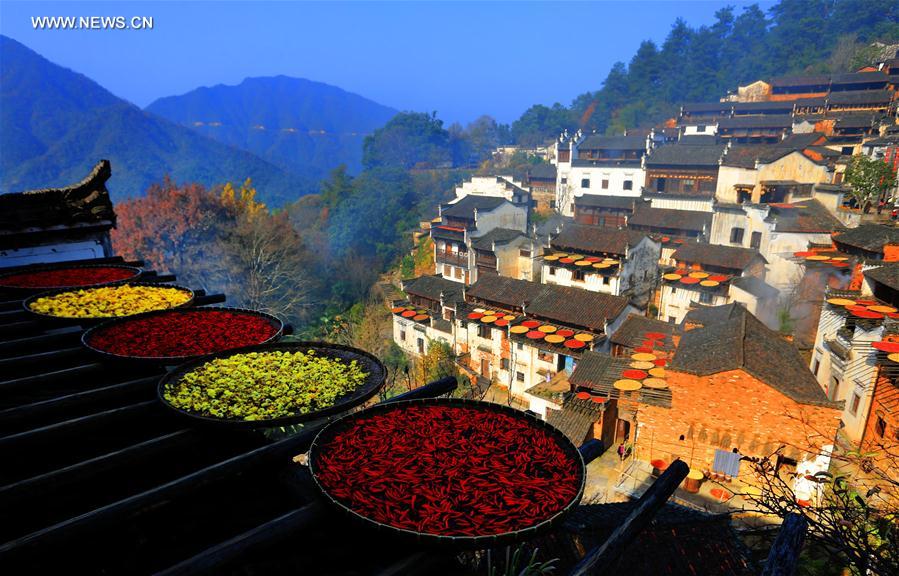 الصورة: مناظر شتوية ملونة في شرقي الصين