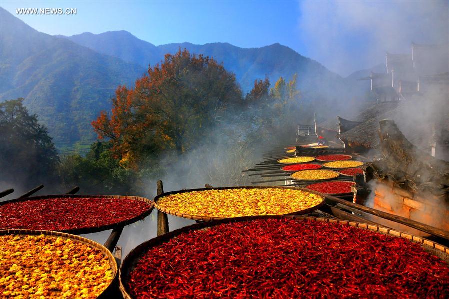 (3)CHINA-JIANGXI-MEDIO AMBIENTE-PAISAJE