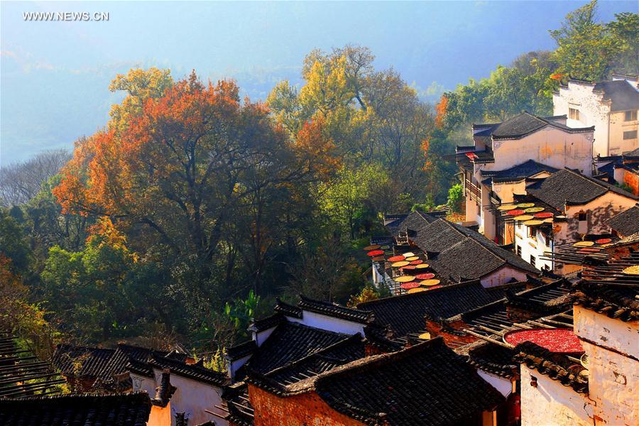 (3)CHINA-JIANGXI-MEDIO AMBIENTE-PAISAJE