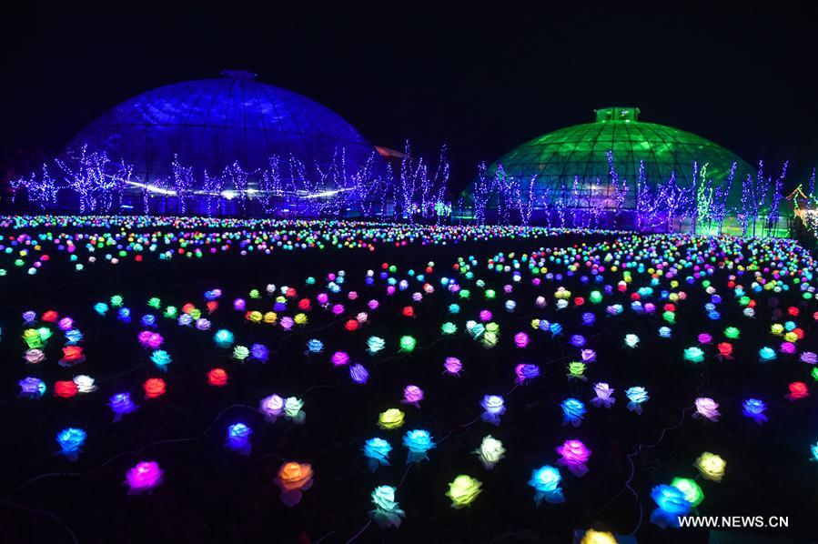 الصورة: معرض الفوانيس في شرقي الصين لاستقبال السنة الجديدة
