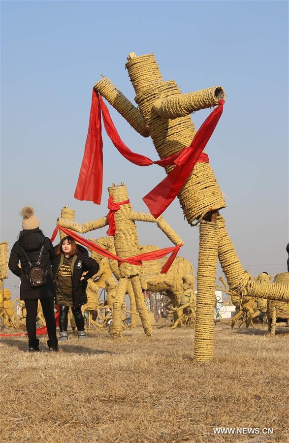 الصورة: مهرجان القش في شمال شرقي الصين