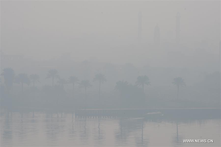 الصورة: الضباب يغطي سماء القاهرة