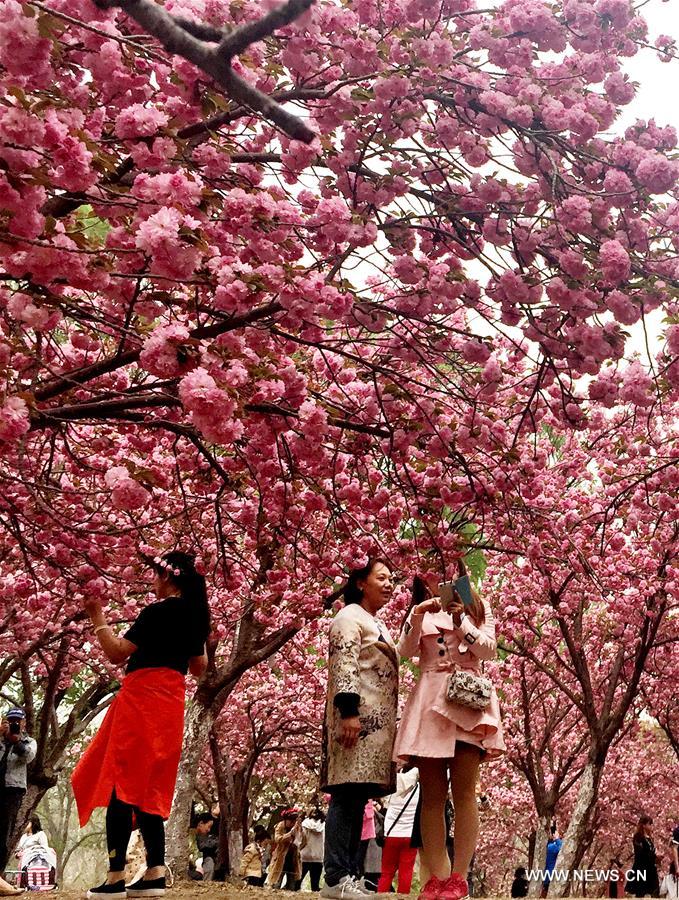 （年终报道）（21）四季美丽中国——春