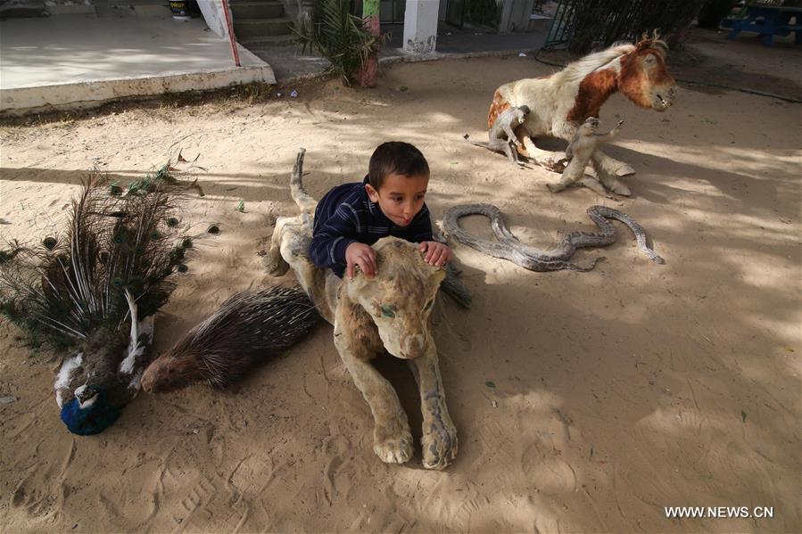 الصورة: أول حديقة حيوان في غزة معرضة للإغلاق لمشاكل اقتصادية