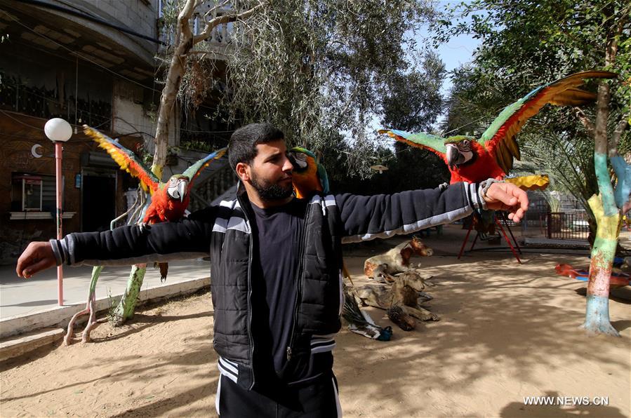 الصورة: أول حديقة حيوان في غزة معرضة للإغلاق لمشاكل اقتصادية