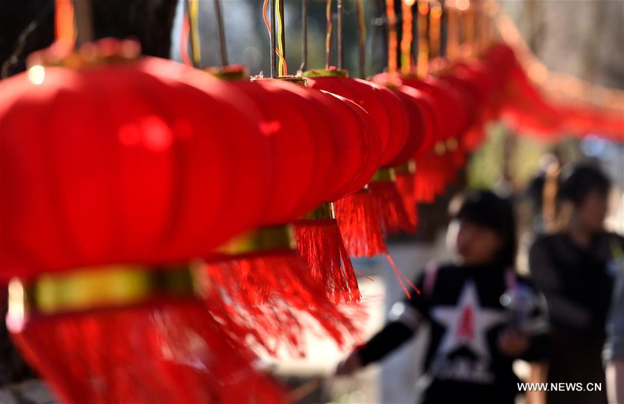  الصورة: الصينيون يستقبلون السنة القمرية الجديدة بالفوانيس الحمراء