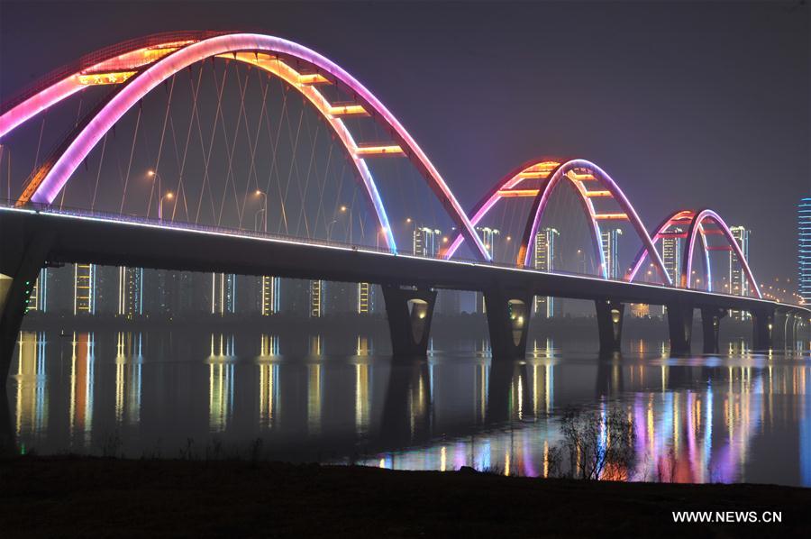 الصورة: الأضواء الملونة تزين نهر شيانغجيانغ 