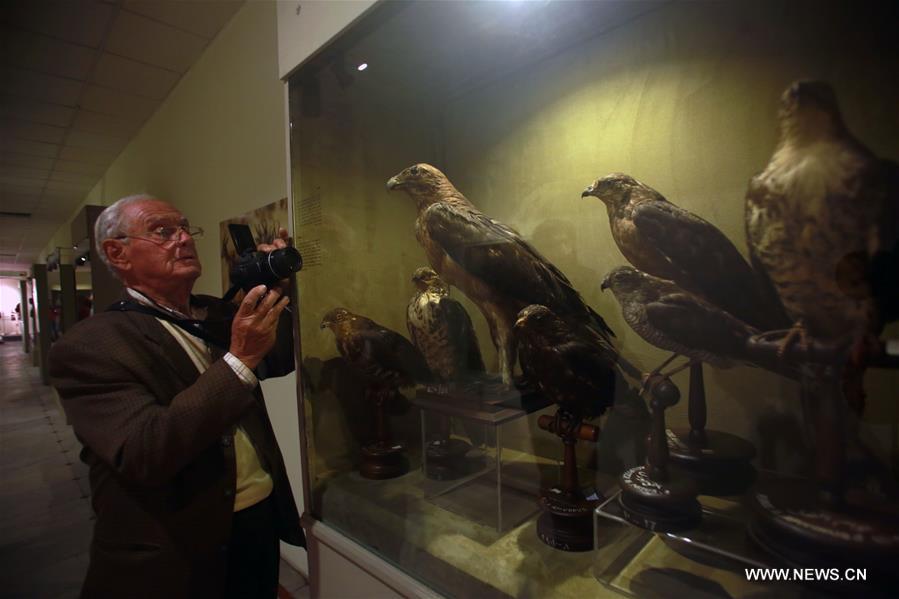 الصورة: إعادة افتتاح متحف الصيد بالقاهرة بعد 10 سنوات من إغلاقه