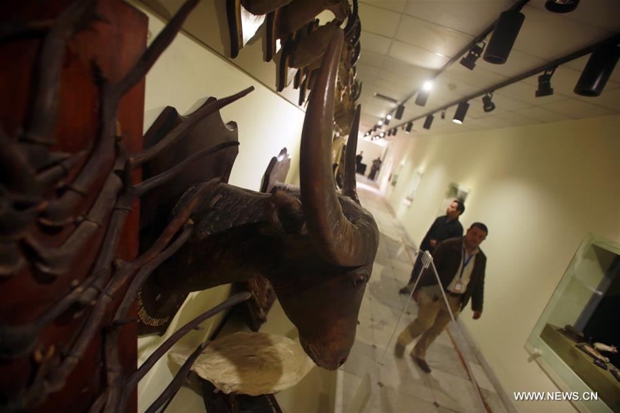 الصورة: إعادة افتتاح متحف الصيد بالقاهرة بعد 10 سنوات من إغلاقه