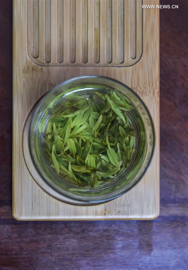 （经济）（7）杭州西湖龙井首批春茶开采