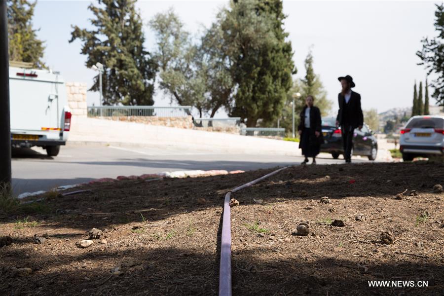 الصورة: في اليوم العالمي للمياه .. القدس تستخدم نظام الري بالتنقيط