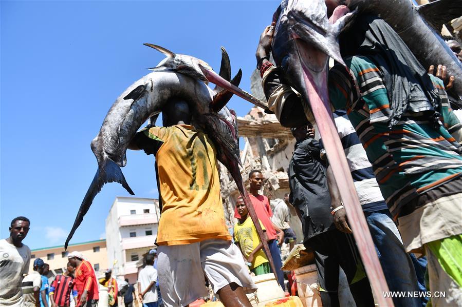 الصورة: سكان مقديشو يعتمدون على الصيد من أجل العيش