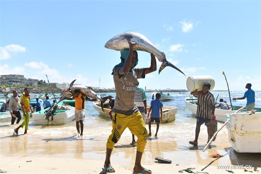 الصورة: سكان مقديشو يعتمدون على الصيد من أجل العيش