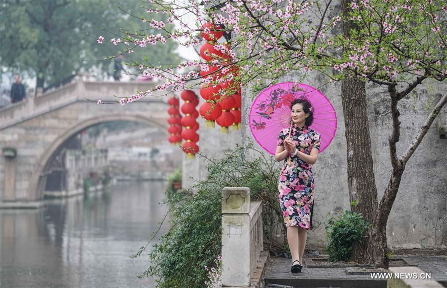 （春季美丽生态）（3）春和景明古荡口