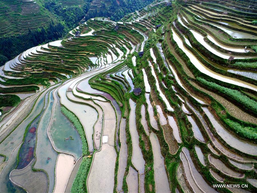  الصورة: الحقول المدرجة في جنوب غربي الصين