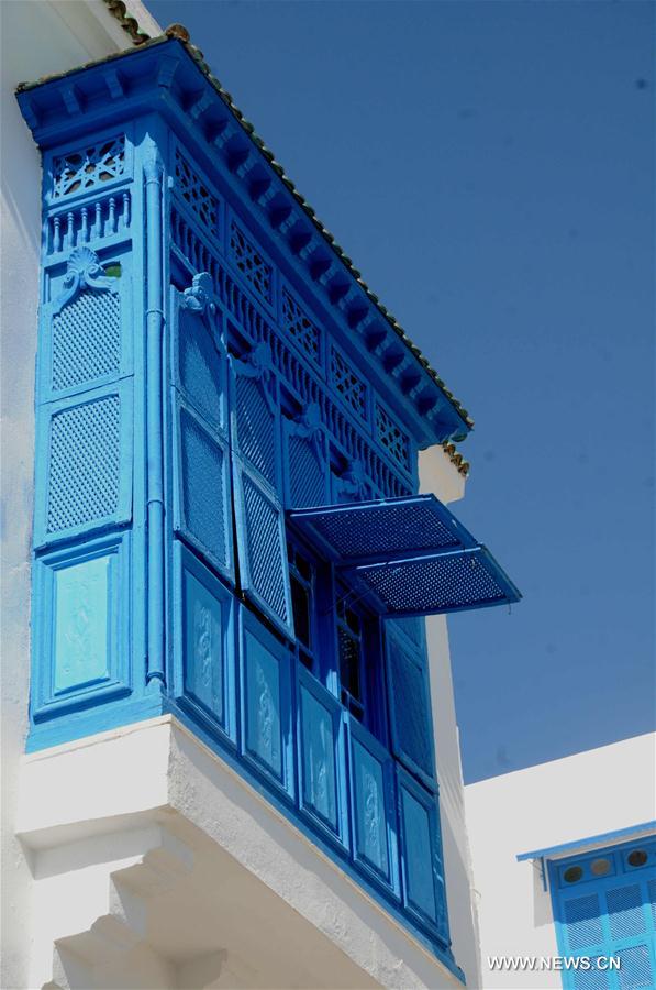 الصورة: "سيدي بوسعيد" مدينة تاريخية يقصدها السائحون في تونس