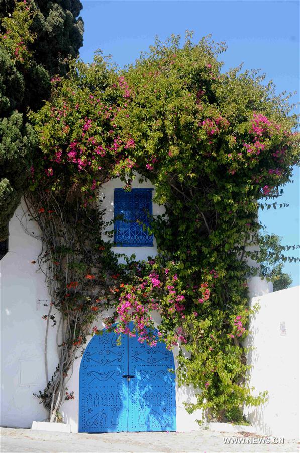 （一带一路·好风光）（1）突尼斯的“蓝白小镇”