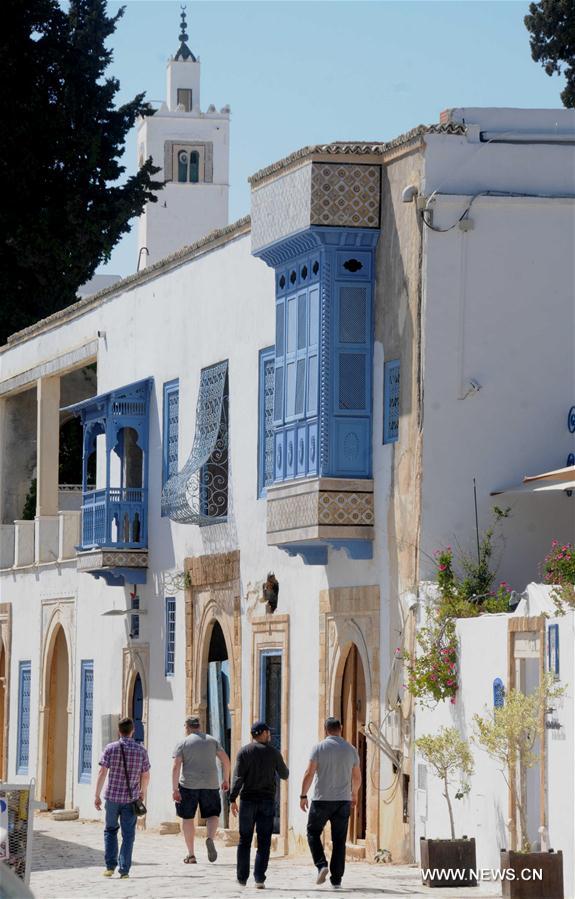 （一带一路·好风光）（4）突尼斯的“蓝白小镇”