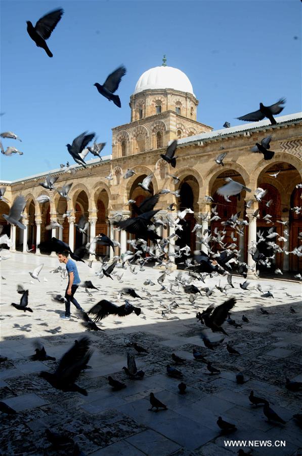 الصورة: "مدينة تونس العتيقة" إحدى مواقع التراث العالمي لليونسكو